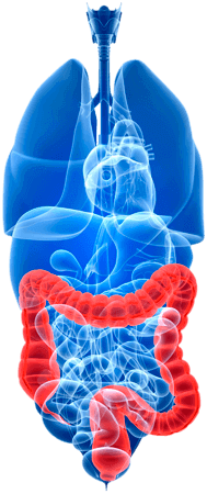 DR. CARLOS IBARRA GONZALEZ - médico proctólogo