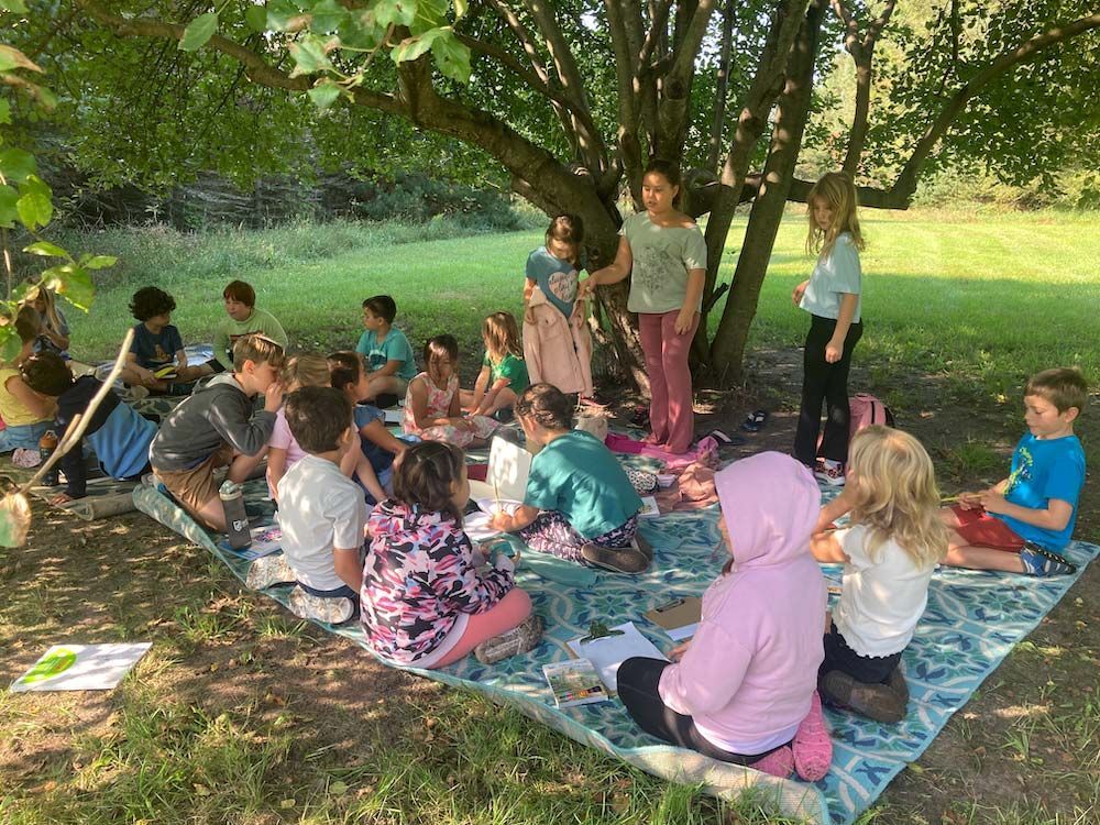 montessori children learning outdoors under tree on blankets with books and papers