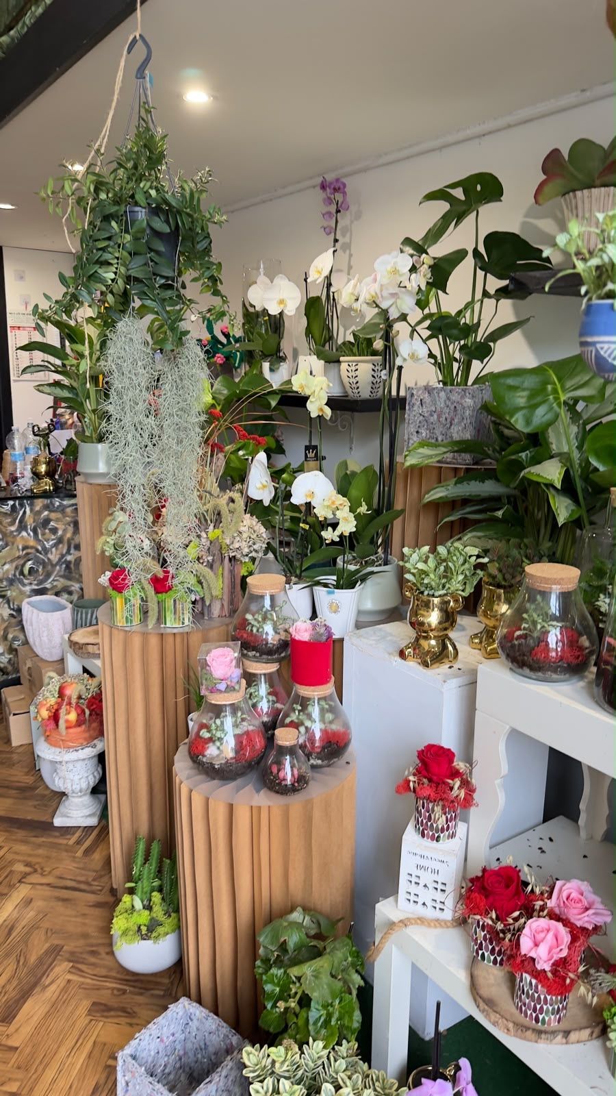 Esposizione di un negozio di piante da interno, con molti fiori in vaso e piante verdi disposti su scaffali e supporti