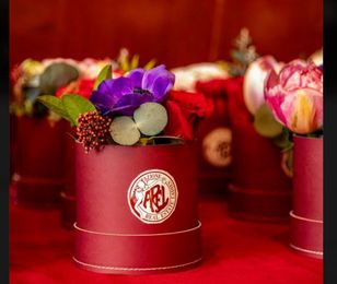 Piante da interno in vaso disposte su scaffali a più livelli e in fioriere sospese in un angolo luminoso della casa
