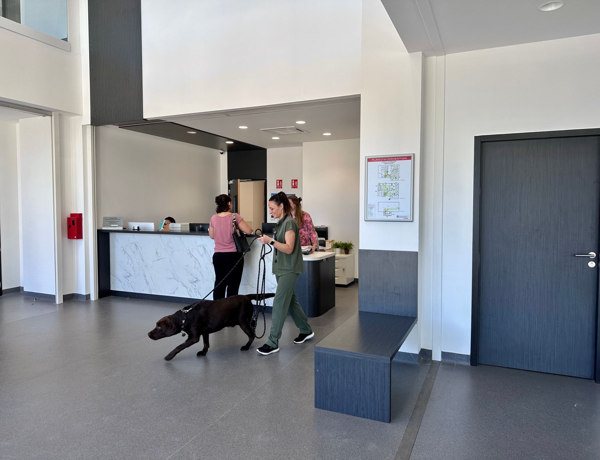 Un chien brun en laisse se promène dans le hall d'une clinique vétérinaire, où des personnes sont assises à l'accueil et sur un banc.