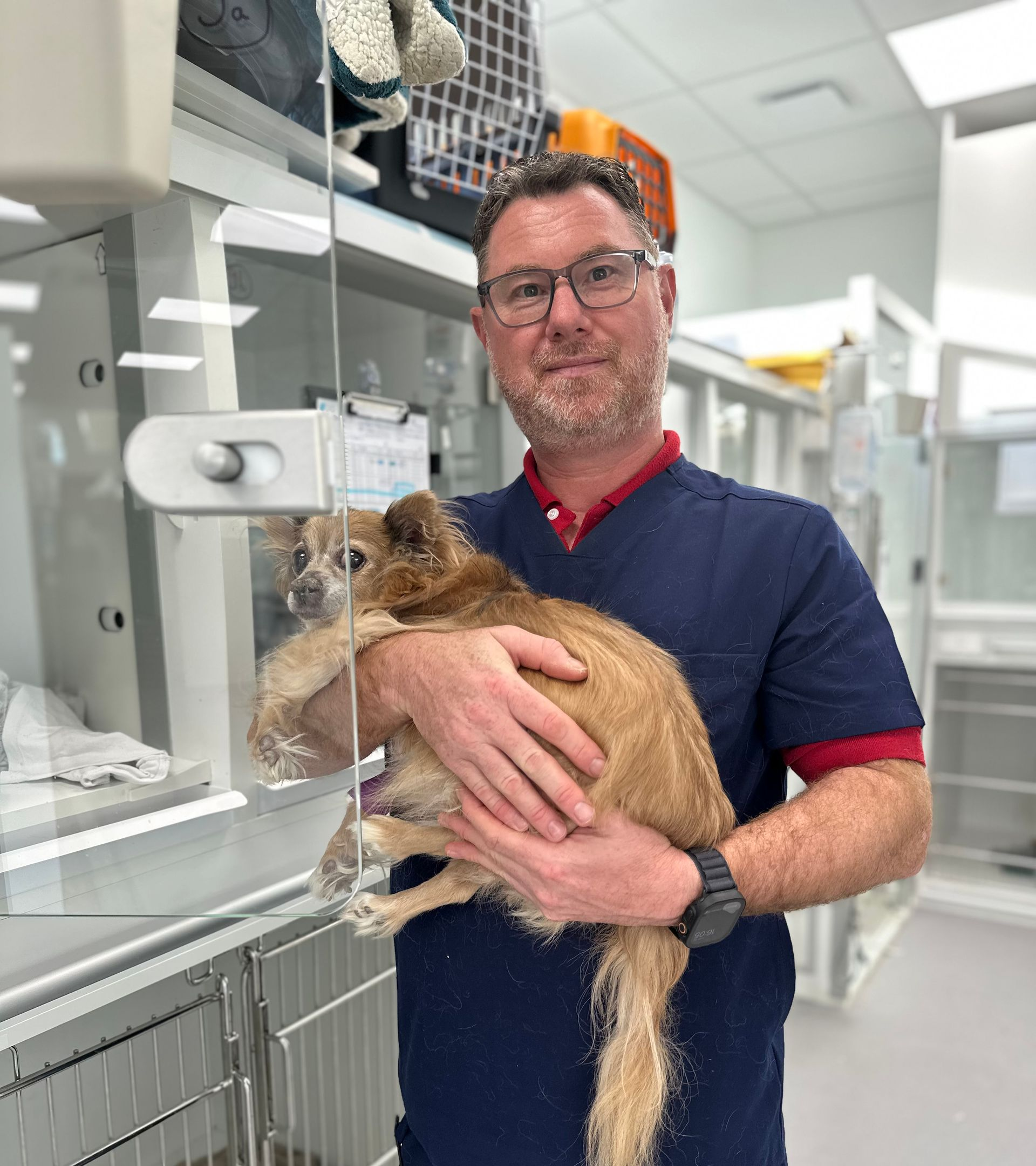 Dans une clinique vétérinaire, une toiletteuse sourit à un chien duveteux allongé sur une table en acier inoxydable, s'apprêtant à le toiletter.