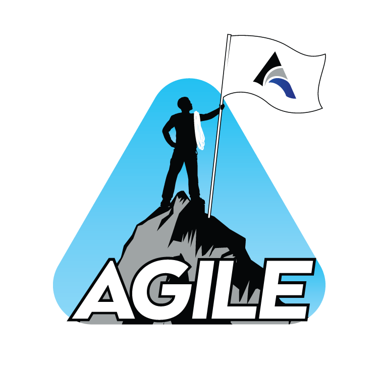 Silhouette of person on a mountain peak holding a flag, inside a blue triangle with the word