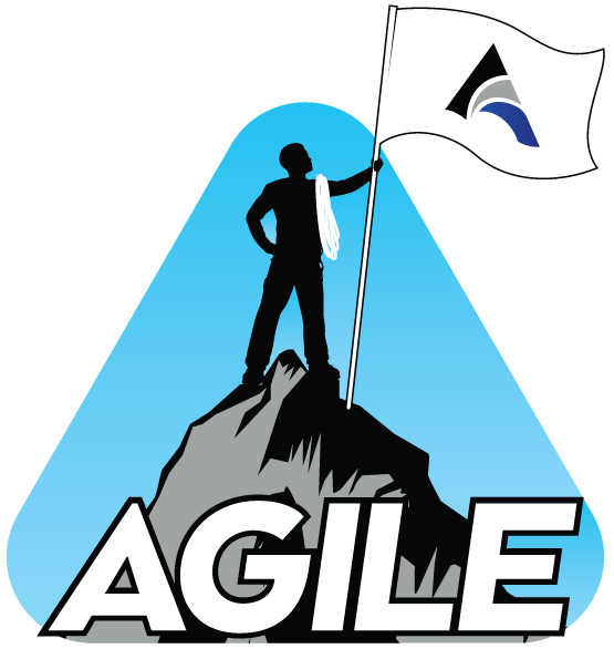 Silhouette of person on mountain peak holding flag that reads 