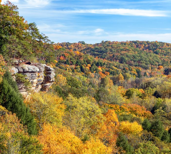 Scenic autumn forest with colorful foliage and a rock formation under a blue sky.