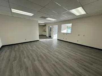 Empty office space with gray wood-look floors, white walls, and fluorescent ceiling lights