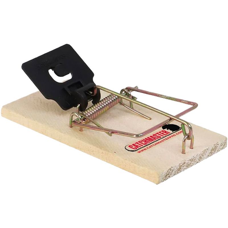 A traditional mousetrap