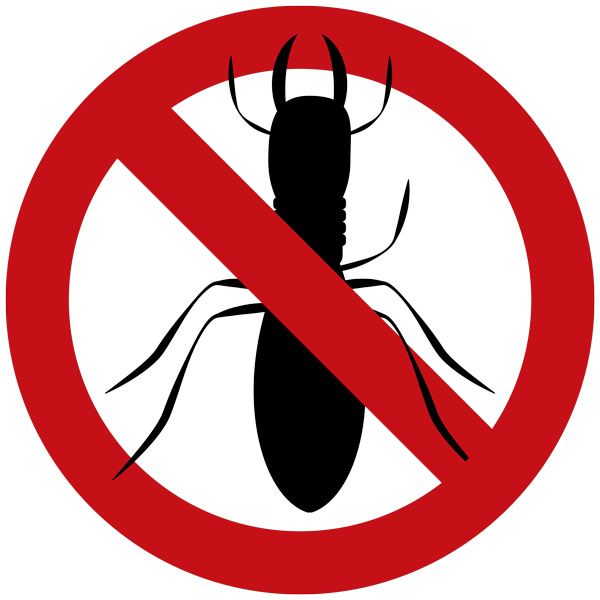 say no to termites in your home with keystone pest solutions in lancaster county PA