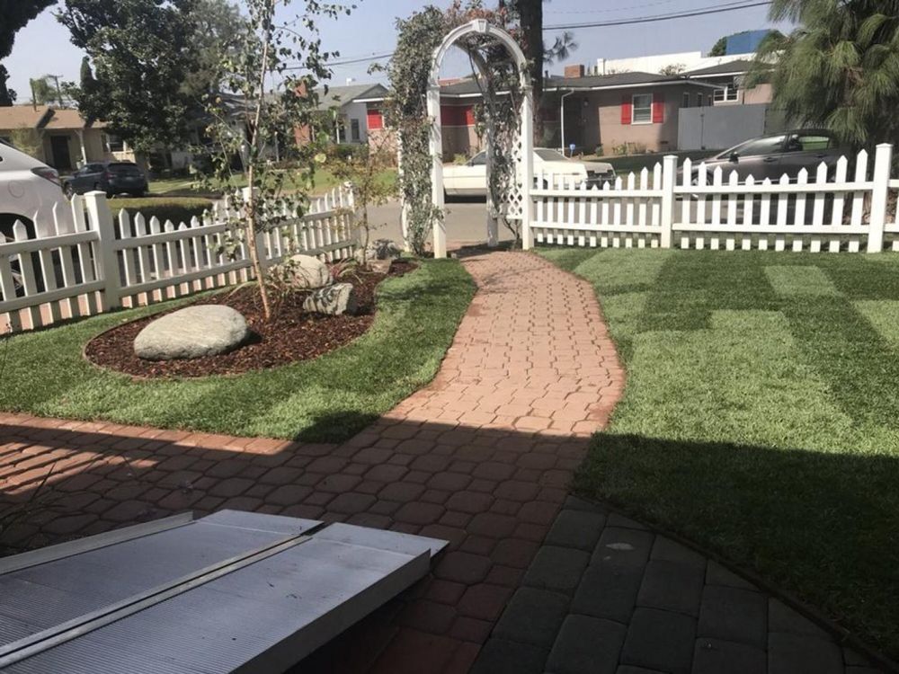 Nice and Clean Lawn