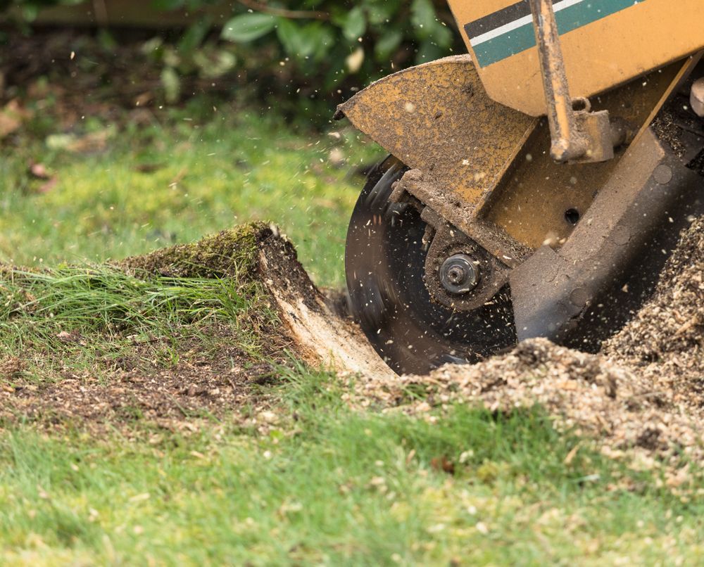 Stump Grinding