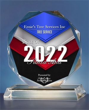 Ernie Ureno Tree Service, Inc 2022 Award Ernie Ureno Tree Service, Inc 2022 Award