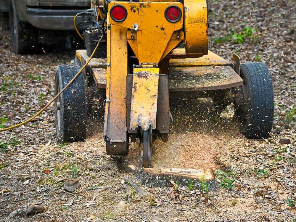 On Going Stump Grinding