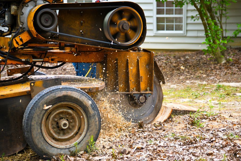 Tree Stump Removal