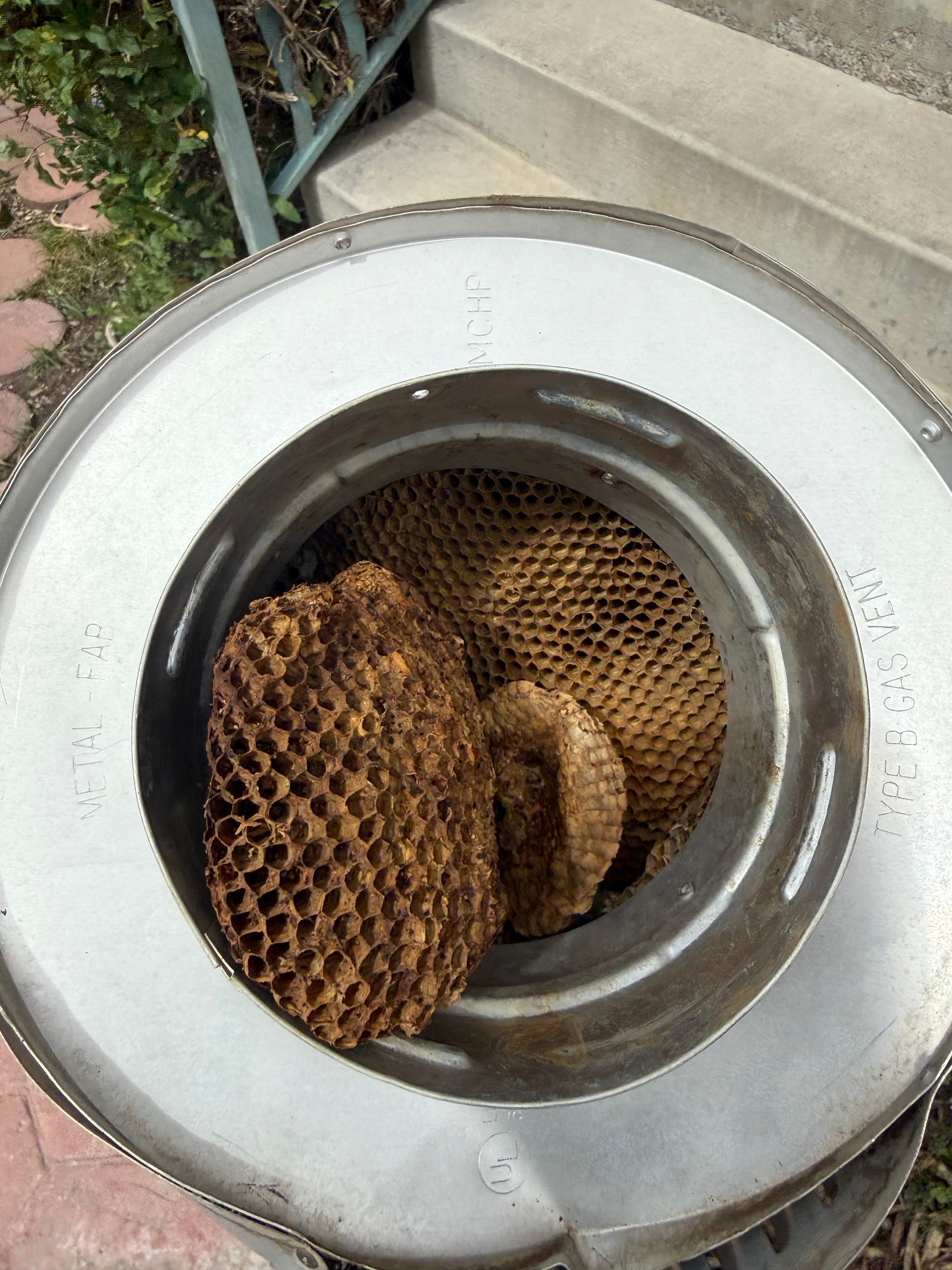 Two bee hives in a round chimney opening outdoors