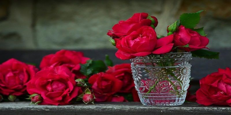 Red roses arranged in a decorative glass vase for a funeral and cremation in Chicago, IL, representing love, remembrance, and honoring a cherished life