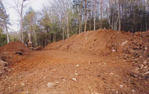 Brown dirt mounds cleared in a forest clearing; trees in the background.