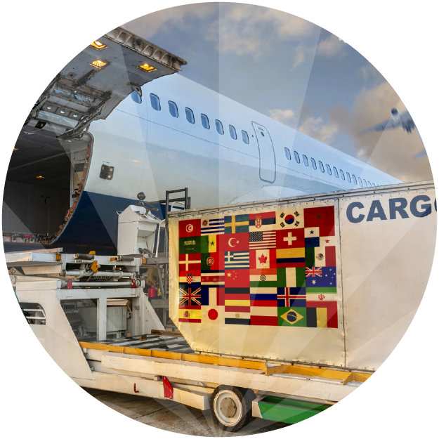 CLM Cargo aéreo de carga 