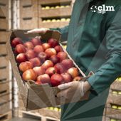 CLM Cargo Perishable Cargo
