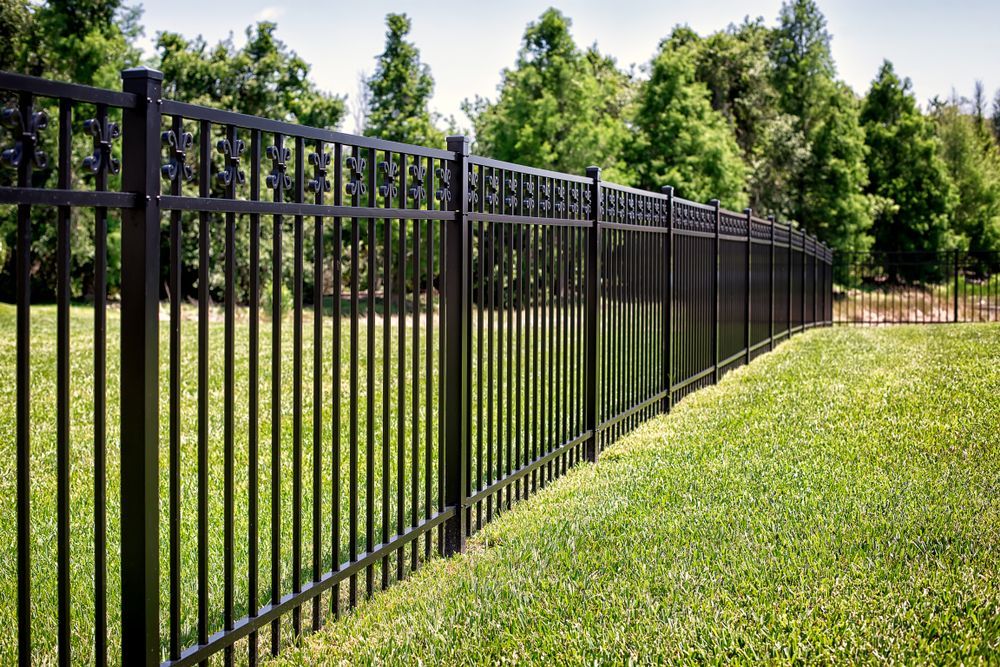 Black metal fence along a grassy yard with trees in the background — A Plus Project Maintenance in Wodonga, VIC