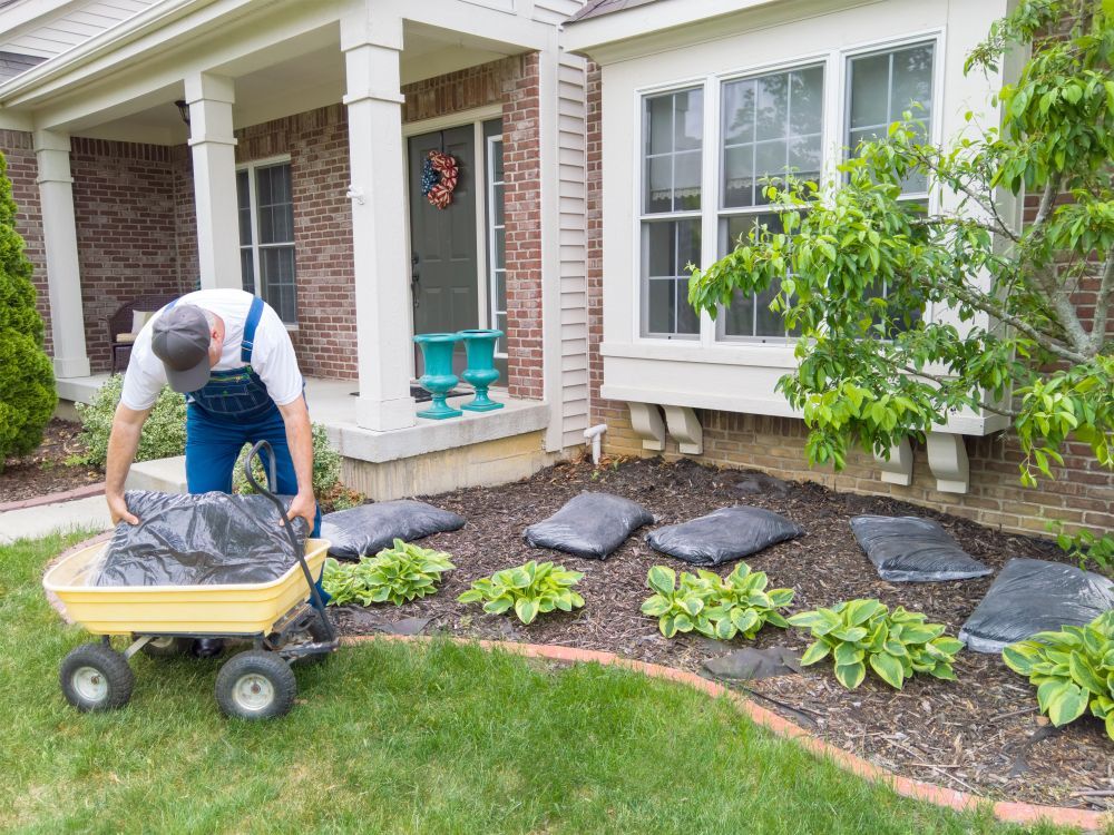Man loading mulch into a yellow cart beside a house with a garden bed and shrubs — A Plus Project Maintenance in Wodonga, VIC