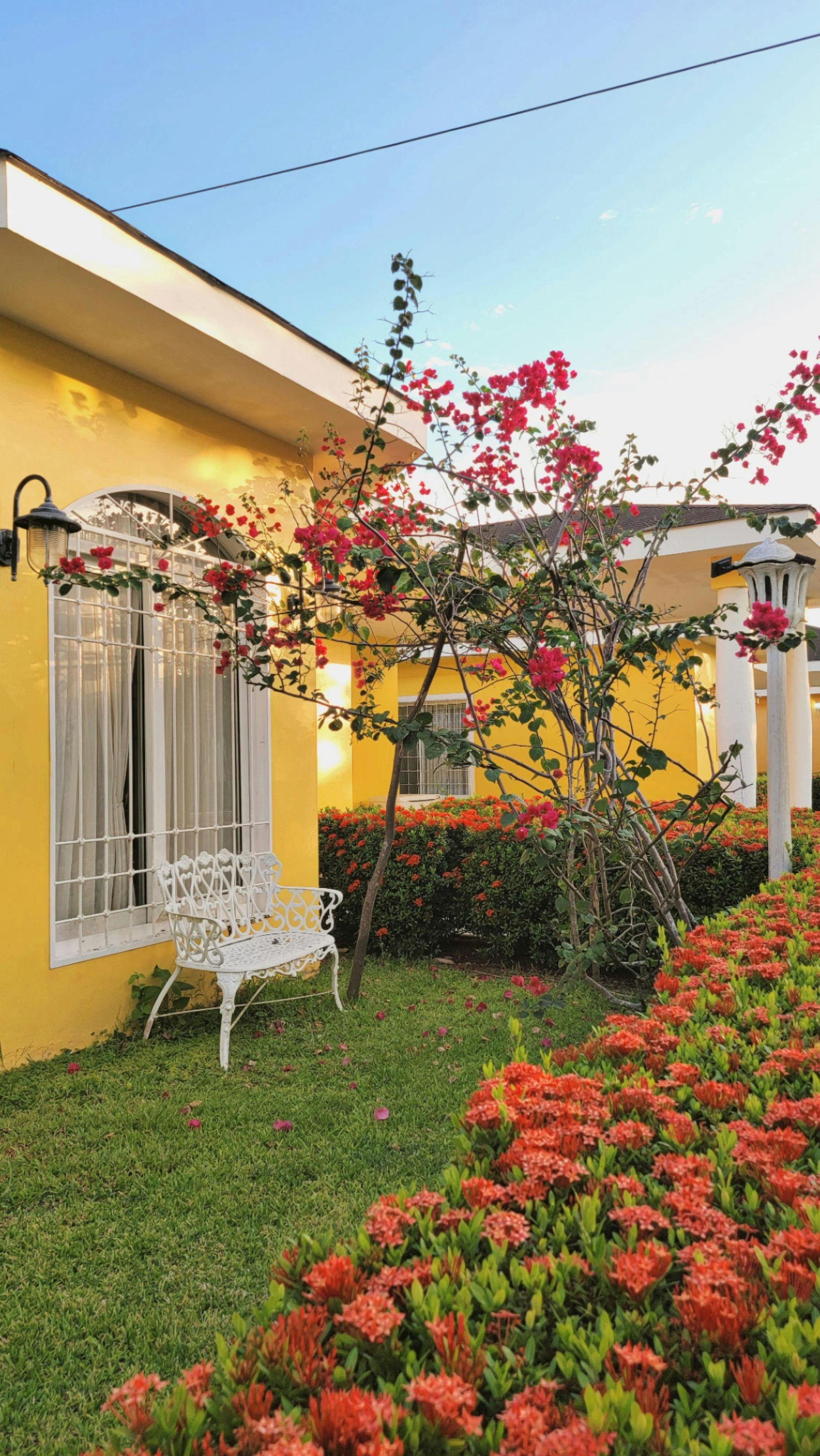 Yellow House with White Windows, Blooming Bougainvillea — A Plus Project Maintenance in Wodonga, VIC