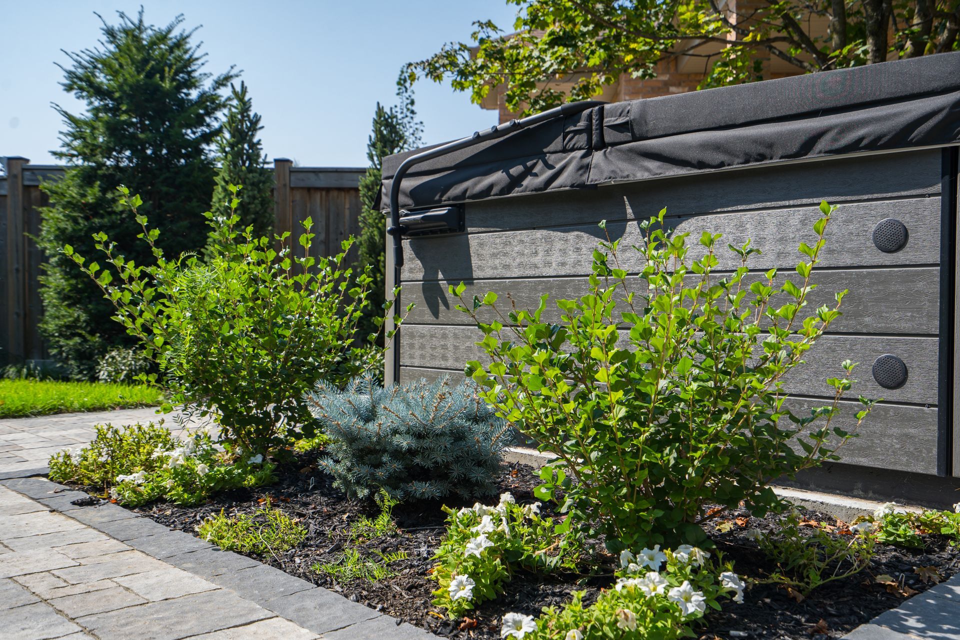 There is a fence in the background and a garden in the foreground.