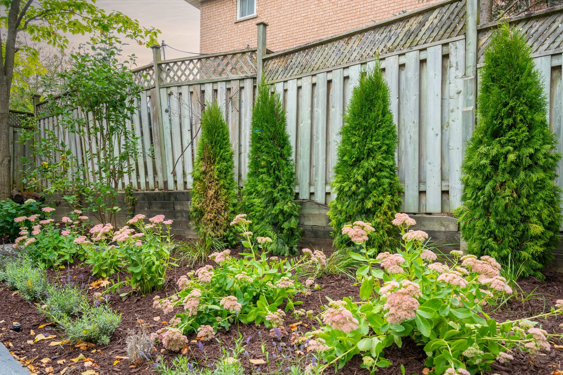 A wooden fence surrounds a garden with lots of plants and flowers.