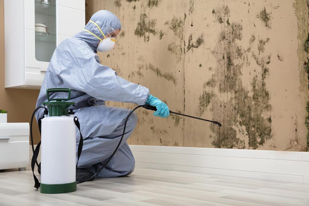 A man in a protective suit is spraying mold on a wall.