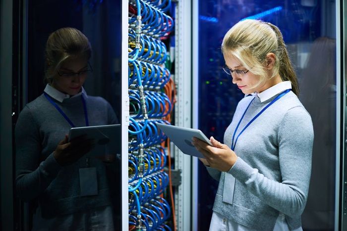 IT Professional – Poland, OH – Delta Telecom Inc