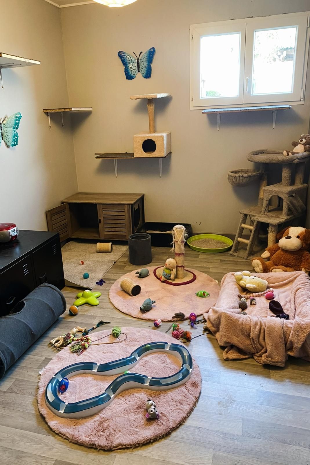 Une salle de jeux pour chats avec des structures d'escalade, des jouets et des tapis roses ; des autocollants de papillons.