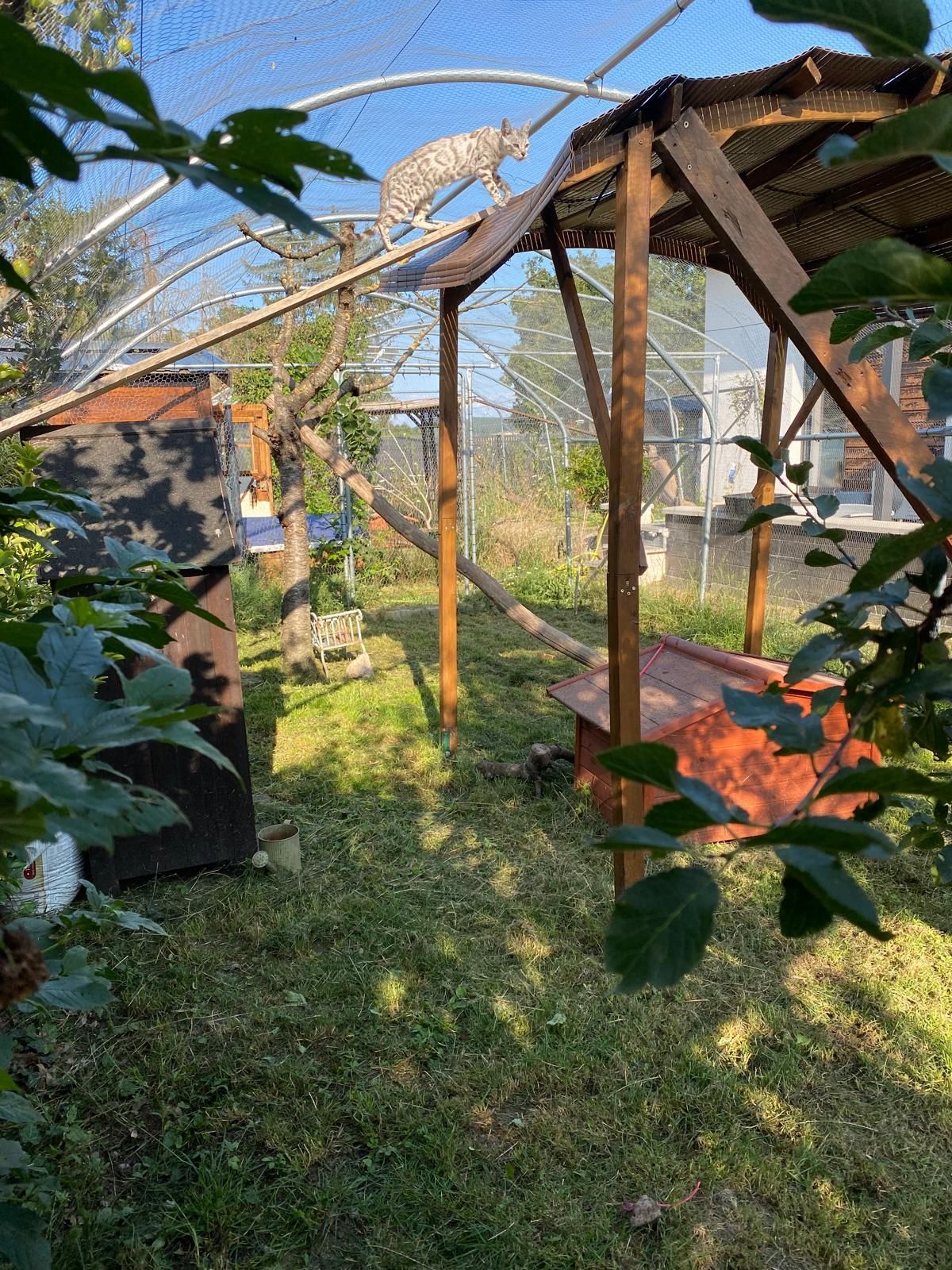 Un enclos avec des poteaux en bois, un toit et un filet ; on y voit un animal tacheté.