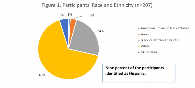 Pie chart showing race and ethnicity of 207 participants.