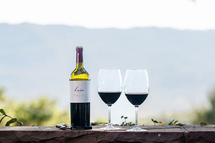 Wine bottle and two filled wine glasses on a rustic table with a mountain view in the background