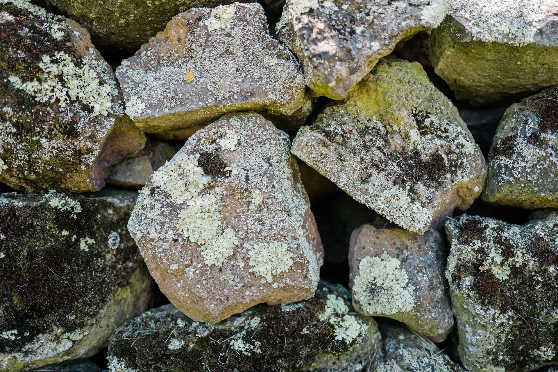 Moss-covered stone wall with rough, weathered rocks in gray, tan, and green.