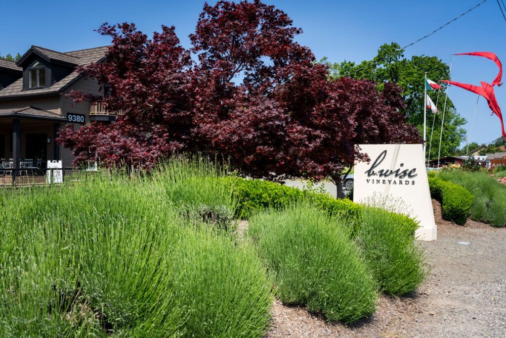Landscaped garden with purple shrubs, green grass, and a white sign beside a building and road