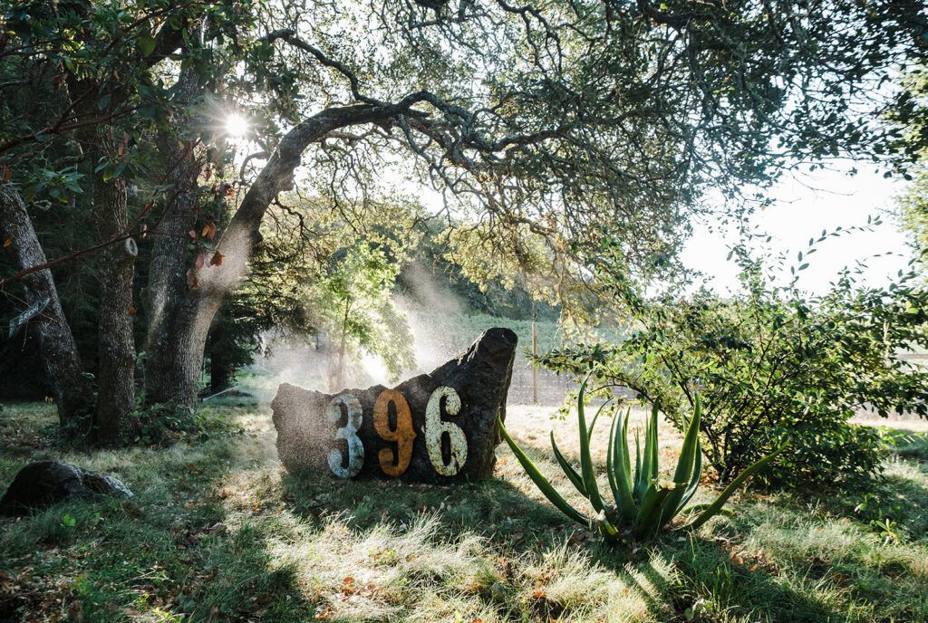 Rustic “96” sign in a sunlit garden with trees, grass, and misty light
