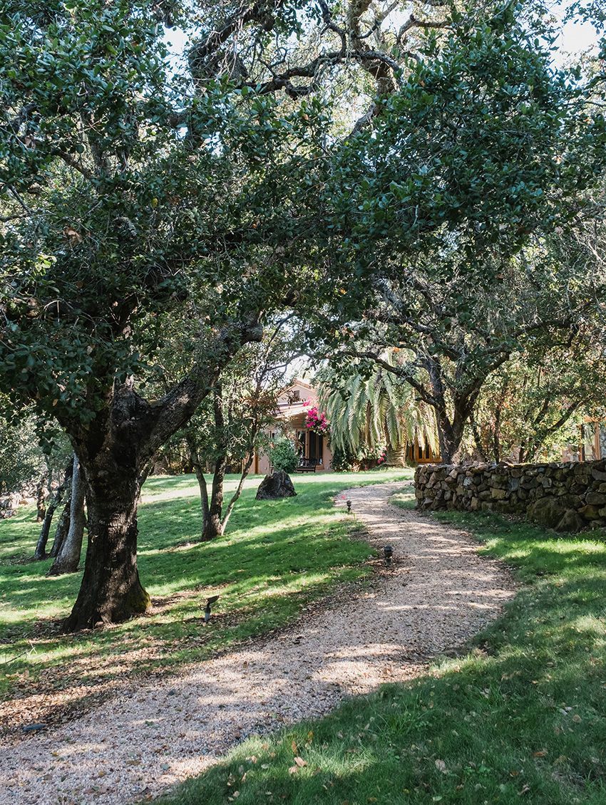 Tree-lined path through a grassy park with sunlight and a small pink building in the distance