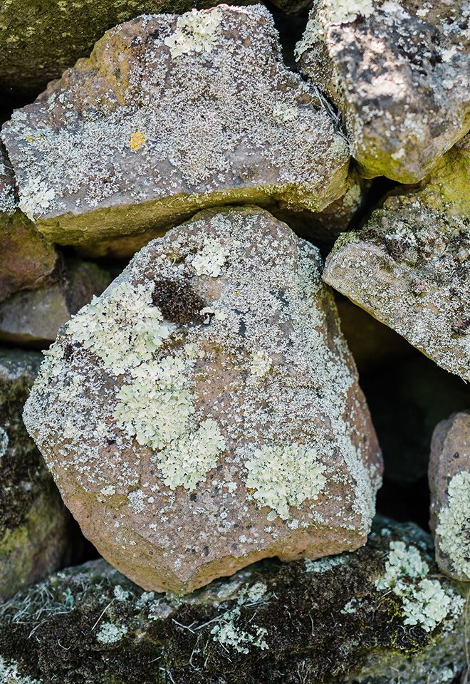 Close-up of stacked rough stones with pale green lichen and moss.