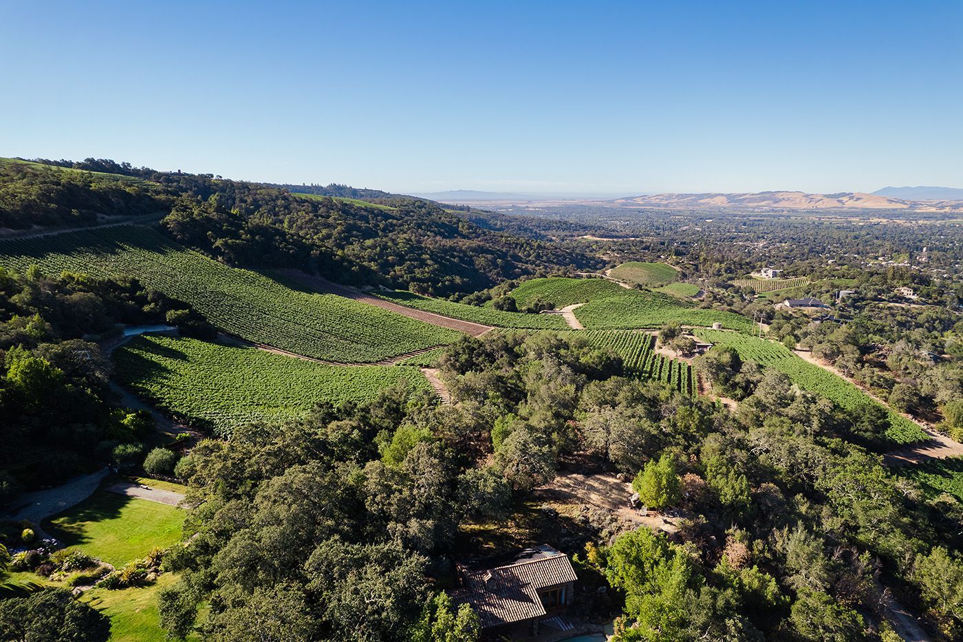 Green hillside landscape overlooking a distant city under a clear sky