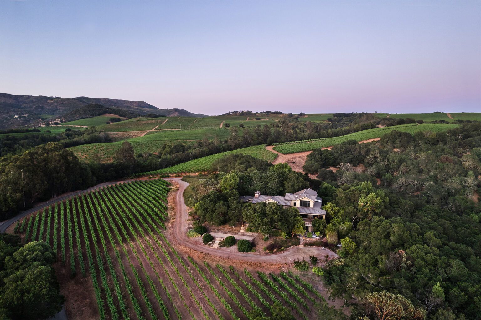 Aerial view of a vineyard and rural farmhouse at dusk, surrounded by green hills and trees.