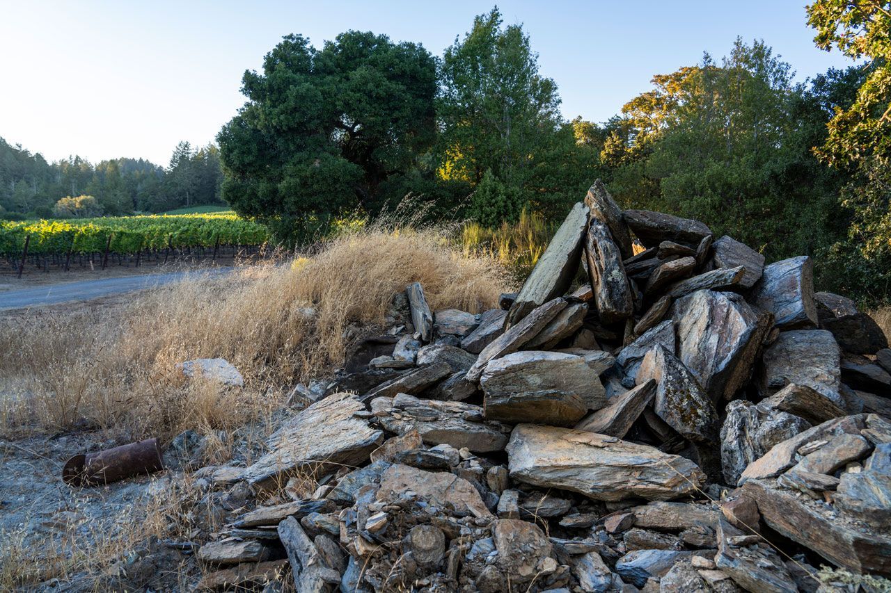 Pile of cut logs and rocks beside a riverbank, with dry grass and trees in the background