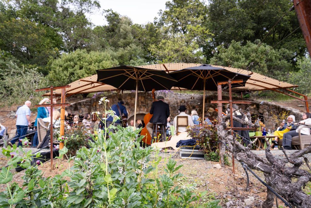 People gathered under a rustic open-air shelter in a wooded garden area.