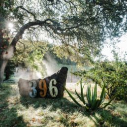 Stone marker with “396” in a sunlit garden, surrounded by trees and desert plants.