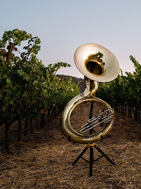 Brass sousaphone sculpture in a vineyard with trees and straw-covered ground