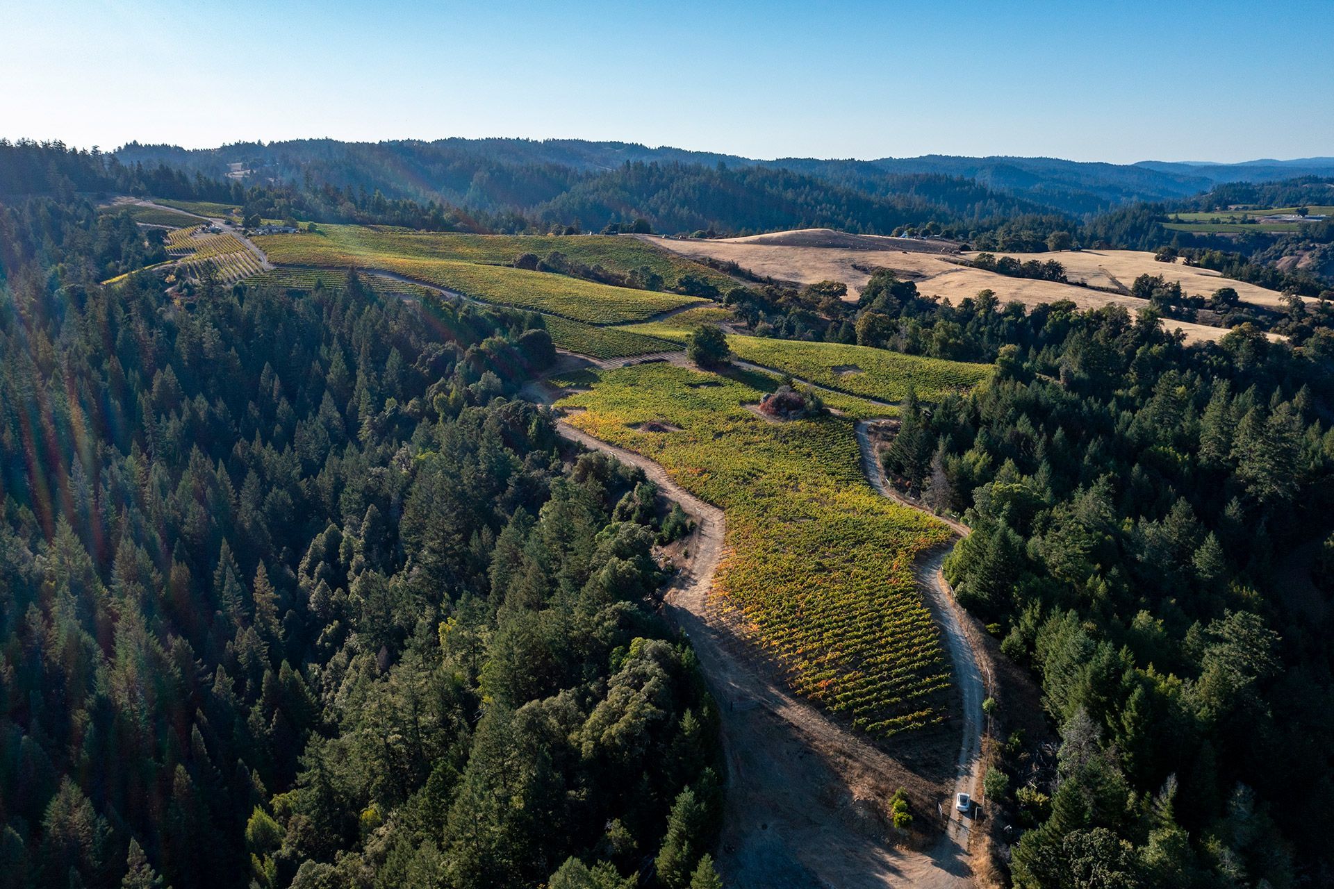Aerial view of a winding dirt road through green forested hills and open fields under a clear sky