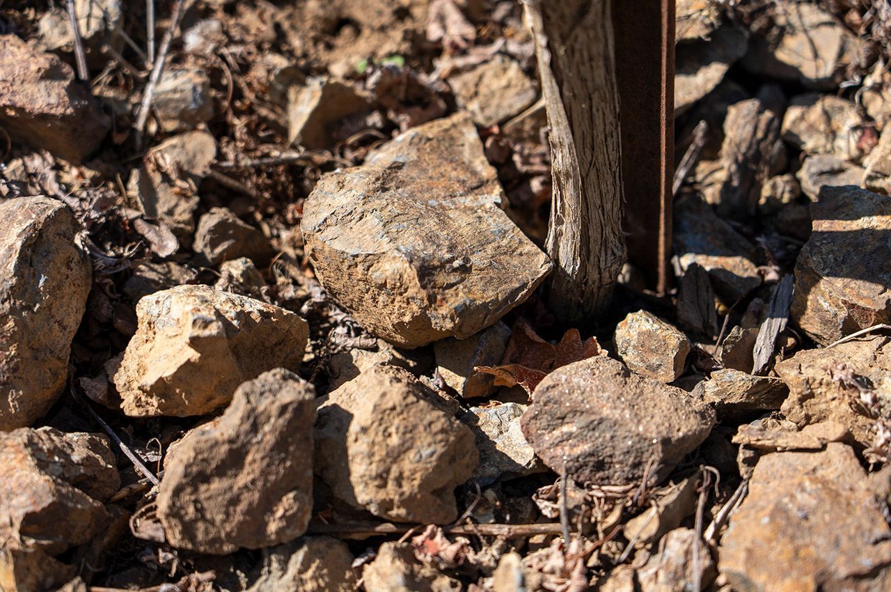 Close-up of dry dirt and scattered tan and brown rocks in sunlight