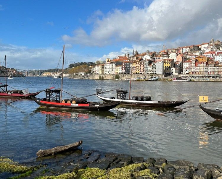 Wooden boats on a calm river with a colorful hillside town under a cloudy blue sky