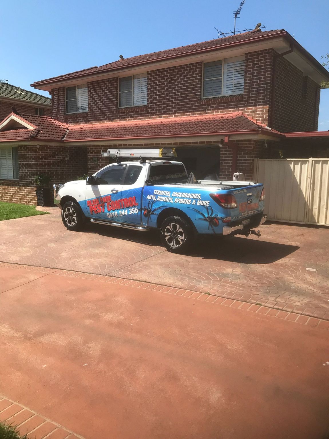 Pest Control Service — South Windsor, NSW — Bligh Park Pest Control