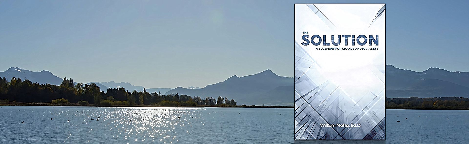 the solution book image