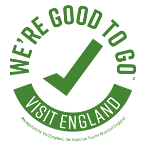 We're good to go logo